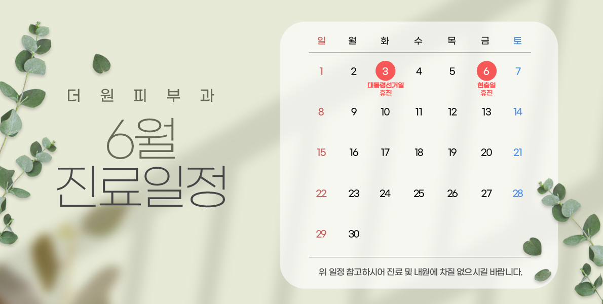진료일정