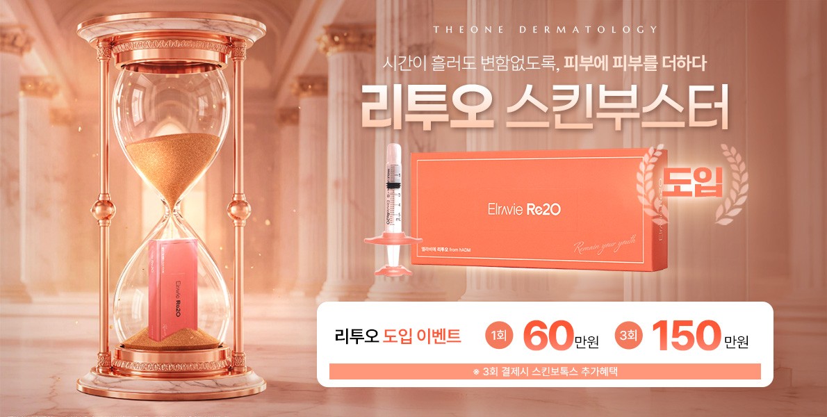 리투오 도입